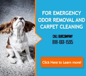 Cleaning Company - Carpet Cleaning Tarzana, CA
