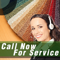 Contact Carpet Cleaning Company